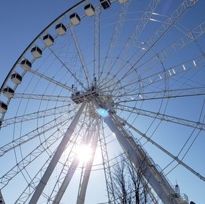 Meet your Posher, Sylvia